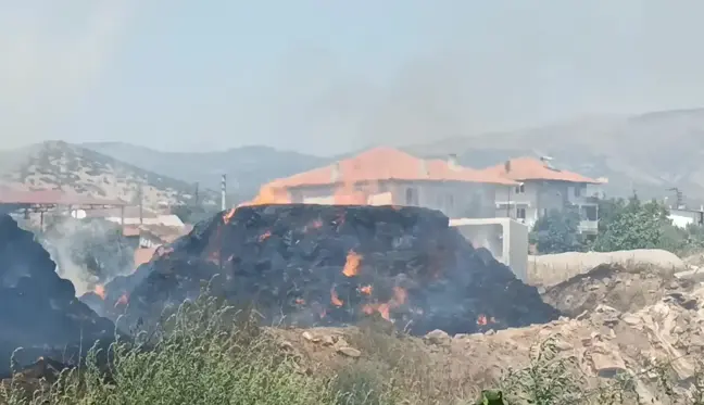 Aydın Karacasu'da Saman Yangını: 50 Ton Saman Zarar Gördü