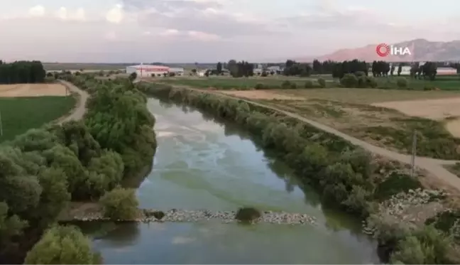 Karasu Nehri yeşile döndü