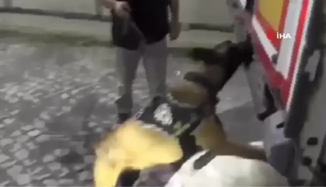 Niğde'de 72 kilo 500 gram esrar ele geçirildi