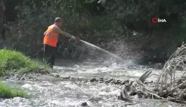 Karabük'te artan sivrisineklere karşı ilaçlama yapılıyor