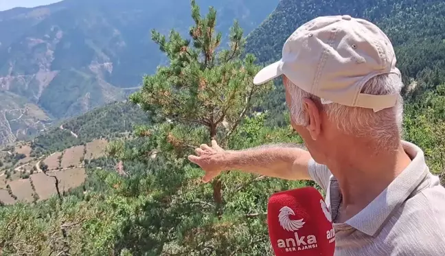 Artvin'in Üç Köyünde Vatandaş, Altın Madeni Çalışmalarına Tepkili: 