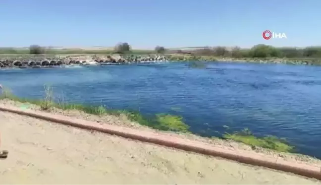 Serinlemek için Fırat Nehri'ne giren baba oğul kayboldu