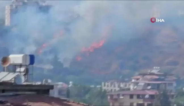 Hatay'da Zeytinlik ve Makilik Alanlarda Yangın Kontrol Altına Alındı