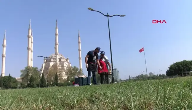 Adana'da Güneşte Pişen Adana Tostu