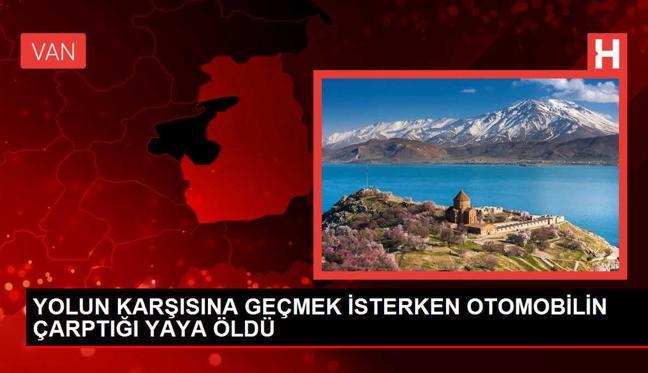Hakkari'de Otomobil Çarpması Sonucu Bir Kişi Hayatını Kaybetti