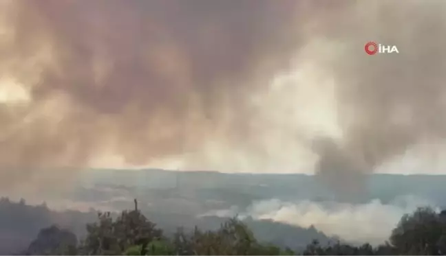 Çanakkale'deki orman yangınında alevler yeniden yükseldi