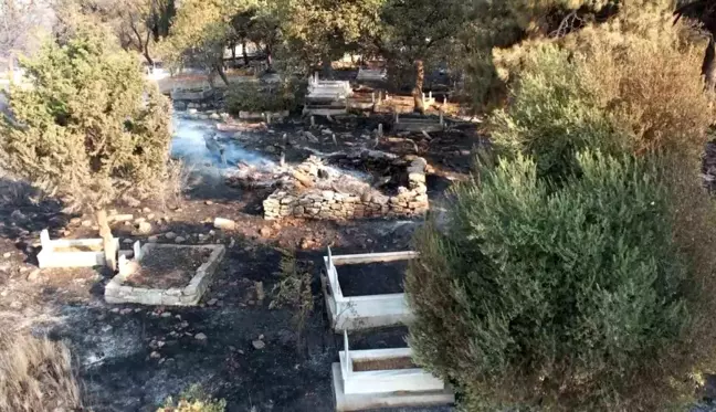 Çanakkale'deki Orman Yangınında Köyler ve Mezarlıklar Küle Döndü