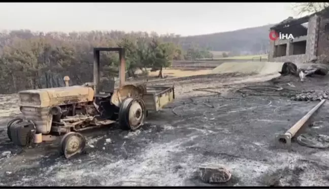 Hayalet köye dönüşen Yağcılar köyünde acı tablo