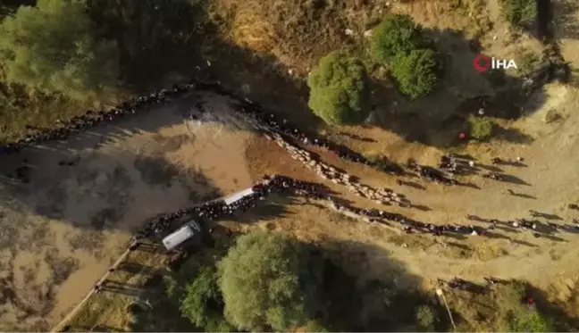 Burdur'un 750 yıllık yörük geleneği renkli görüntülere sahne oldu