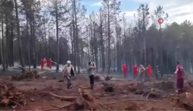 Kütahya'da Domaniç ilçesinde çıkan orman yangını kontrol altına alındı