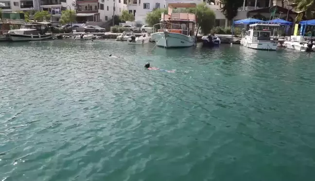 Bodrum'da Deniz Dibi Temizliği Etkinliği Devam Ediyor