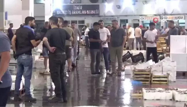 Balık Sezonu Açıldı, Fiyatlar Düştü