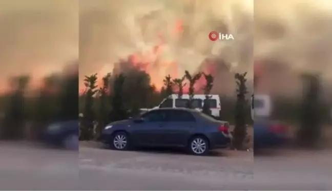 Yalova'da çalılık arazide çıkan yangın kontrol altına alındı