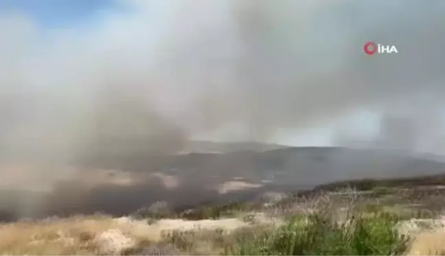 Alaçatı'da orman yangını