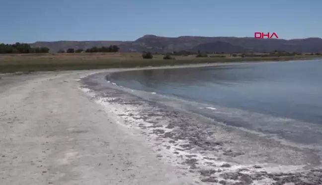 Burdur Gölü'nde Sahil Mor Renge Büründü