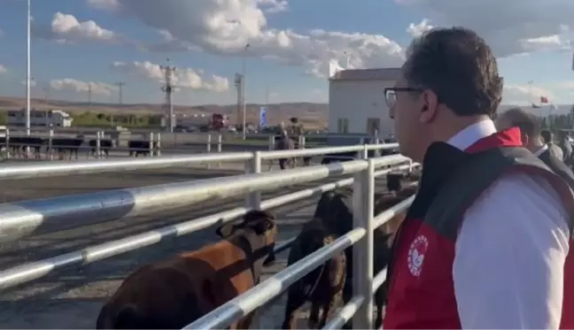 Türkiye'nin İlk Veteriner Yol Kontrol Denetim İstasyonu Erzurum'da Açıldı