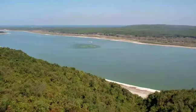 Arnavutköy'de ormanlık alanda çıkan yangın söndürüldü, 1 hektarlık alan zarar gördü