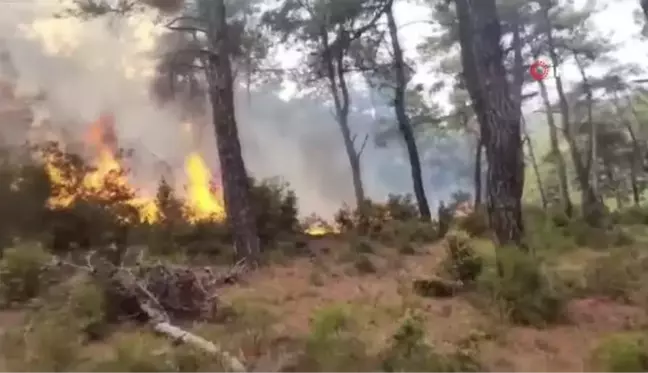 Çanakkale'de Yıldırım Düşmesi Sonucu Orman Yangını Çıktı