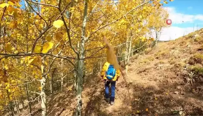 Gümüşhane Dağlarında Sonbaharın Renk Şöleni