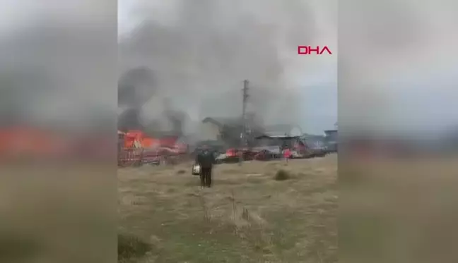 Bolu'nun Seben ilçesinde çıkan yangında 2 ev tamamen yanarak kullanılamaz hale geldi