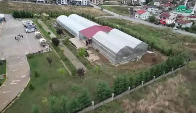 Yalova'da park ve bahçeleri öğrencilerin ürettiği çiçekler süsleyecek