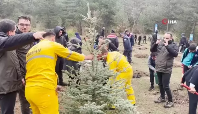 Yağmura aldırış etmediler, Cumhuriyet'in 100. yılı için fidan diktiler