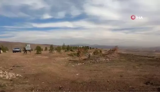 Çam ağaçlarını yangından korurken hayatını kaybeden Ömer Dede'nin adı fidanlarla yaşatılacak