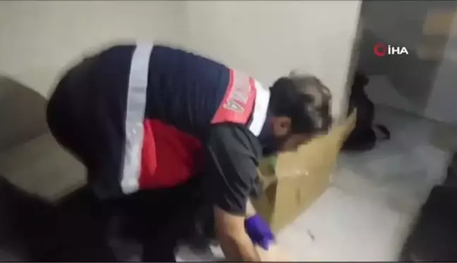 İstanbul'da büyük uyuşturucu operasyonu: 18 kilogram skunk ele geçirildi