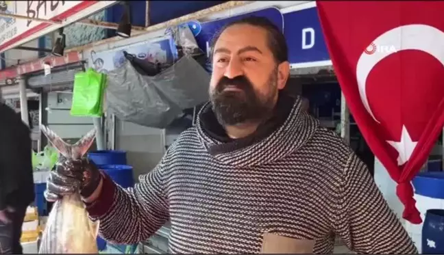 Balıkesir'de Hamsi Bolluğu Yaşanıyor