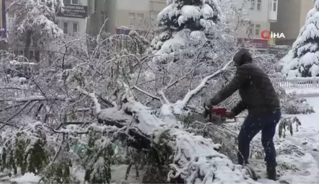 Erzurum'da Yoğun Kar Yağışı Hayatı Felç Etti