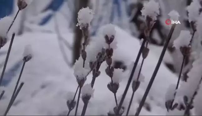 Tunceli kara teslim oldu