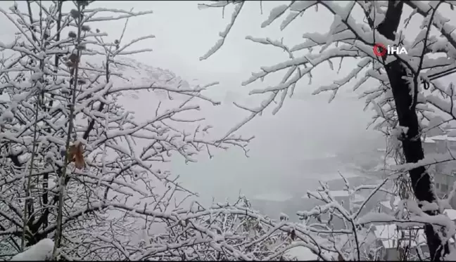 Hakkari'de Kar Yağışı ve Sis Etkili Oldu