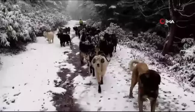 Sakarya'nın yüksek kesimleri beyaza büründü