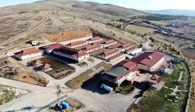 Elazığ Belediyesi Geçici Hayvan Bakımevi ve Rehabilitasyon Merkezi'nde 11 Bin 350 Hayvan Tedavi Edildi