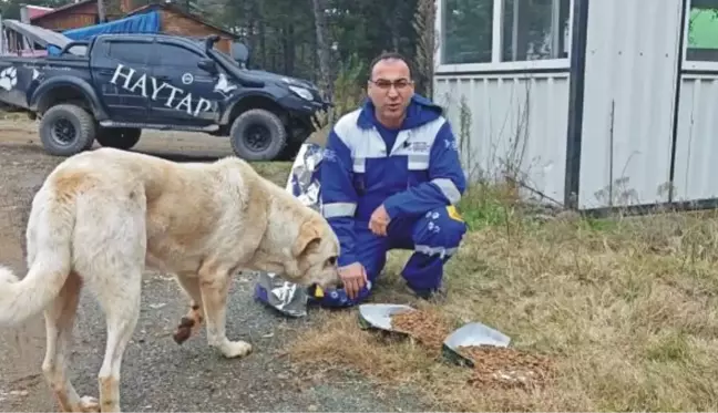 Amanos Dağları'ndaki Hayvanlar İçin Yem Bırakıldı