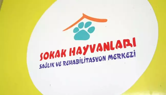 Konyaaltı Belediyesi Sokak Hayvanları Sağlık ve Rehabilitasyon Merkezi'nde Sokak Hayvanlarına Isıtıcılarla Koruma