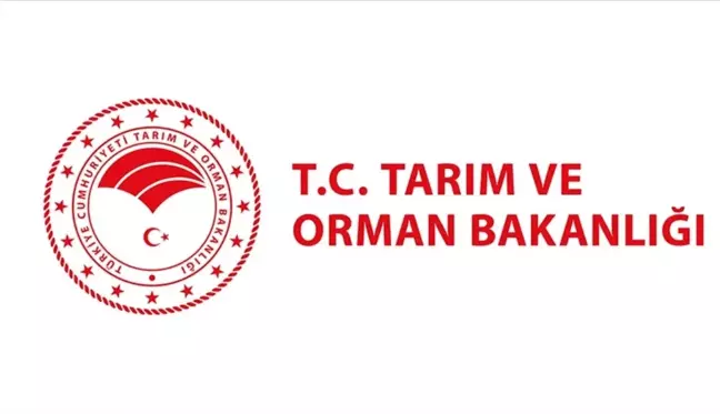 TARIM VE ORMAN BAKANLIĞI PERSONEL ALIMI 2024: Tarım ve Orman Bakanlığı 7 bin 158 personel alımı başladı mı, nereden başvurulur, ne zaman?