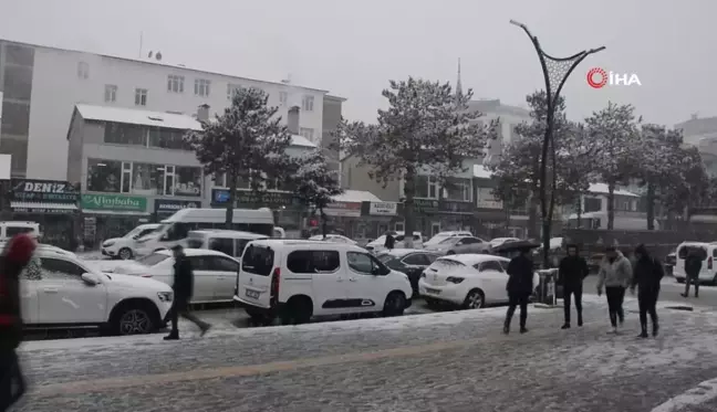 Bitlis'te yoğun kar yağışı etkisini sürdürüyor