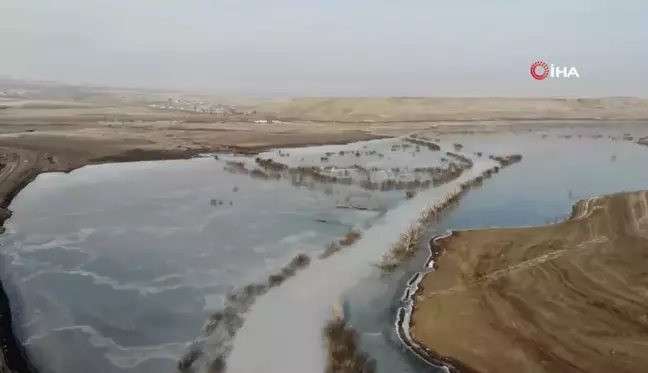 Soğuk hava Kars barajını dondurdu