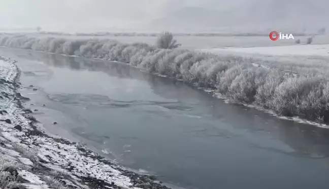 Yüksekova'da ağaçlar kırağı tuttu