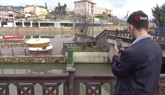 Irmakta nesli tükenme tehlikesindeki su samuru kameralara yansıdı