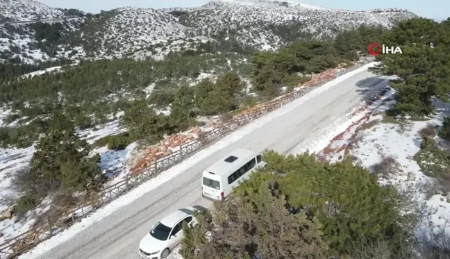 Kar altındaki Spil'de yaban hayatı unutulmadı