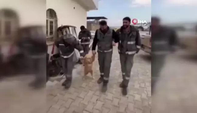 Mola yapan işçiler köpekle halayı kamerada