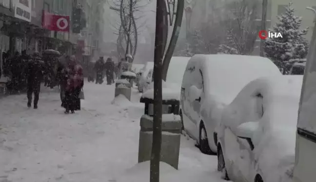 Hakkari'de lapa lapa kar yağışı