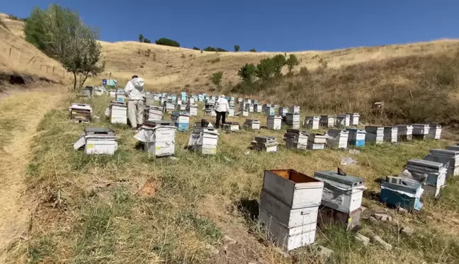 Akaryakıt zamları gezici arıcıları etkiliyor