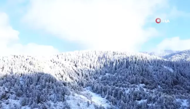 Beyaza bürünen Ilgaz Dağı'nın eteklerindeki yaylalarda kartpostallık görüntüler ortaya çıktı