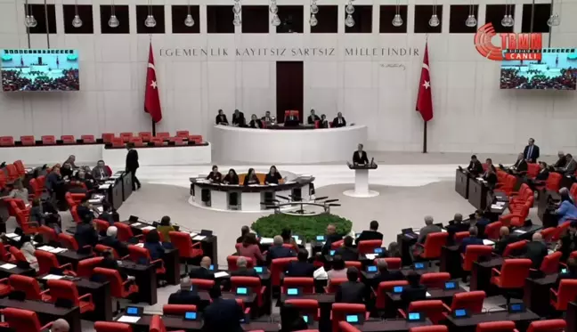 DEM Partisi Milletvekili Perihan Koca, AKP Milletvekili Fatma Öncü'ye el hareketi yaptı iddiası