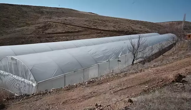 Yozgatlı çiftçi serada sebze üretimi yapıp, daha ucuza tüketiciye sunuyor