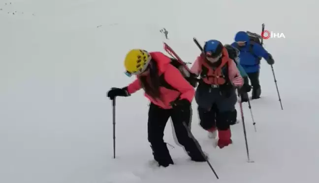 Van Gölü'ne dikkat çekmek için Berit Dağı'na tırmandılar