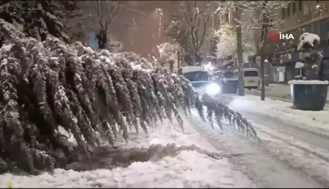 Van'da aşırı kar yağışına dayanamayan ağaç yola devrildi